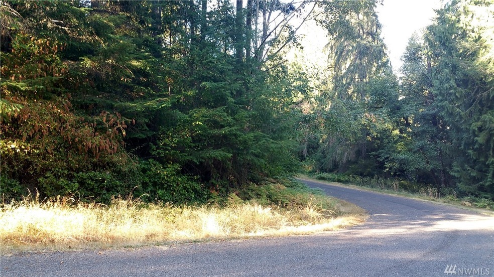 12711 97th Street Ct unit AI, Anderson Island, WA 98303 - photo 1