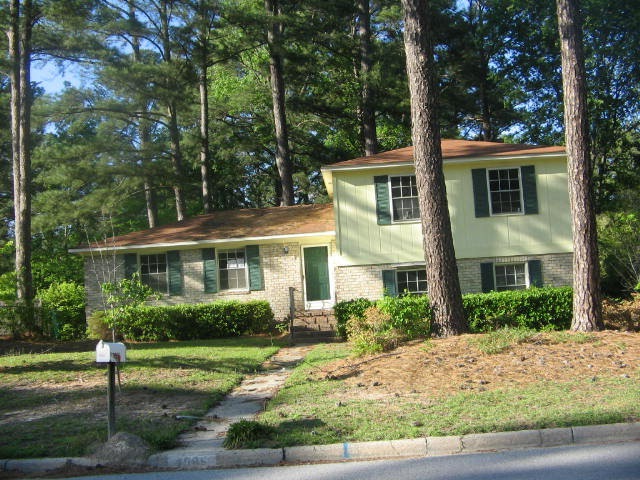 Main View