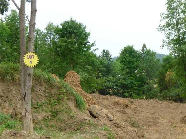 0 Rachel Dr unit ONEH550383, Chester Town, NY 10918 - photo 1