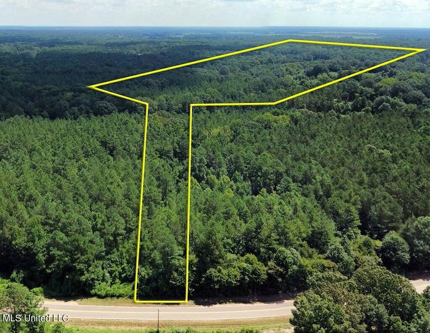 30.2 Acres Cathy Rd, Byhalia, MS 38611 - photo 1