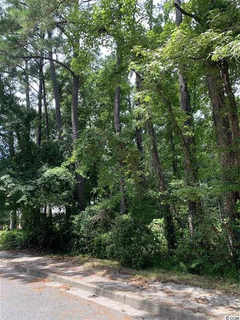 1113 Dunbar St, Myrtle Beach, SC 29577 - photo 1