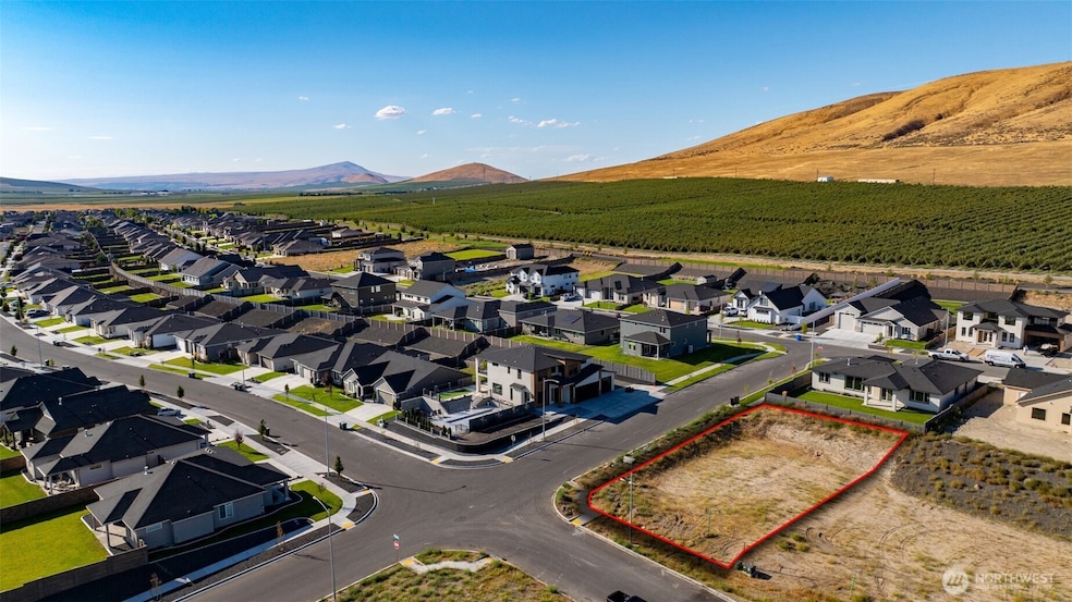 3776 Corvina St, Richland, WA 99352 - photo 1