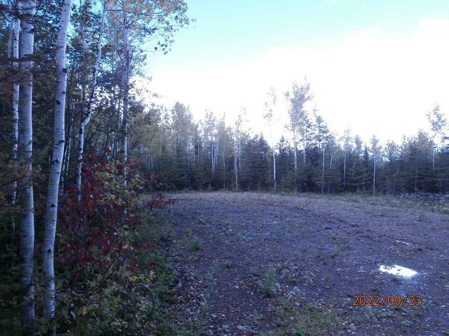 Sold $65,000 • Co-Listing Agent