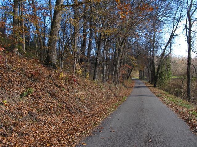 0 Lewis Branch Rd unit RTC1498710, Tennessee Ridge, TN 37178 - photo 1