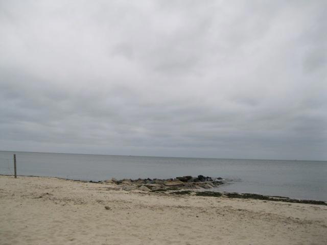 Primary Photo