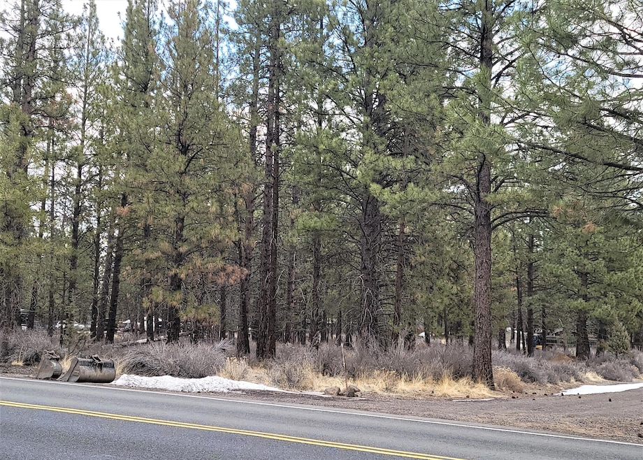 Lot 700 Navajo Road