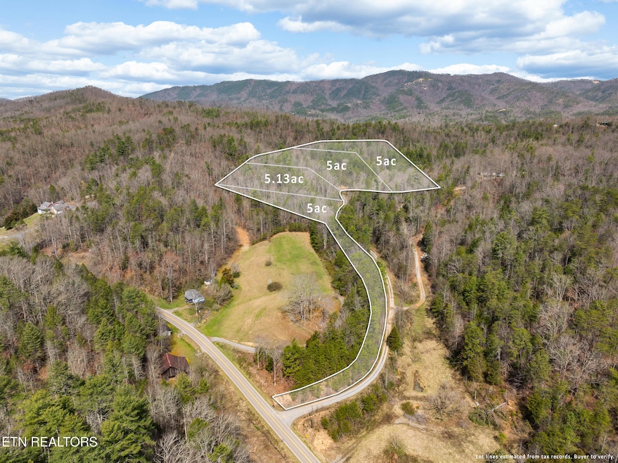 mossy cove way lot-1