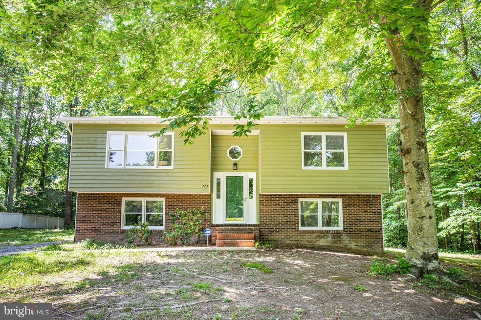 423 Albany St, Fredericksburg, VA 22407 - photo 1