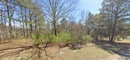 Lot 1