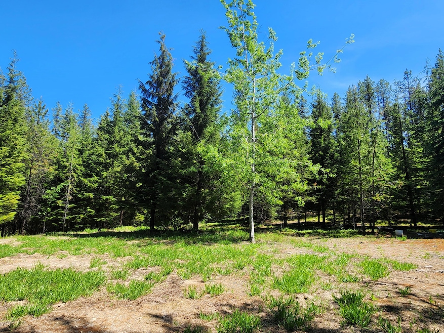 Camping site