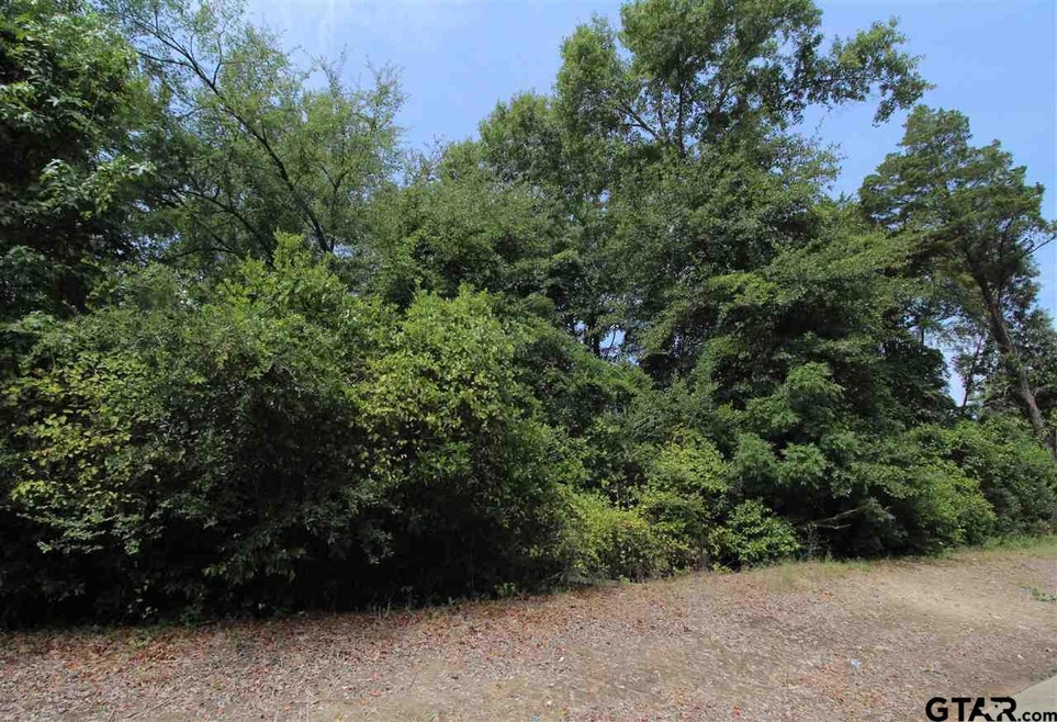 2316 Old Noonday Rd, Tyler, TX 75701 - photo 1