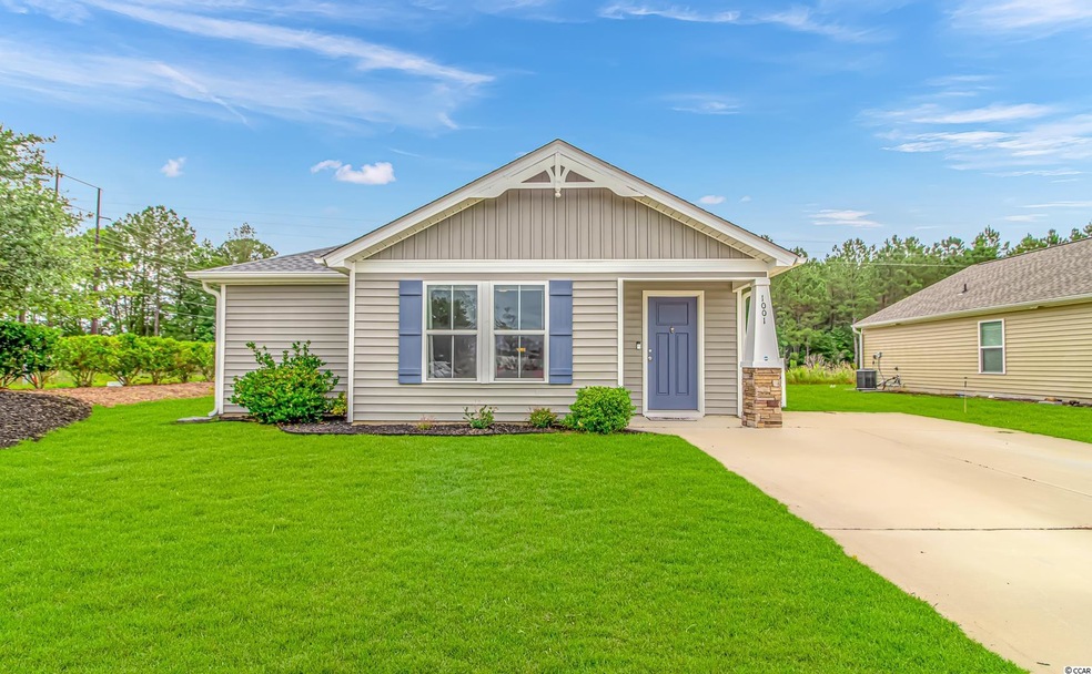 1001 Leatherman Rd, Conway, SC 29527 - photo 1