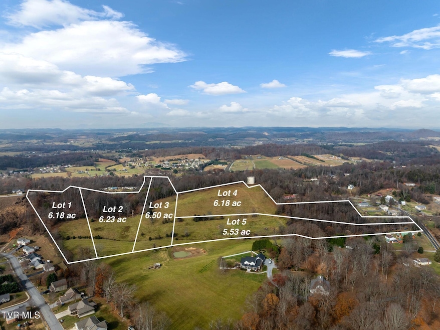 Tbd Birds Eye View Lot 1, Jonesborough, TN 37659 - photo 1
