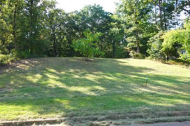 16 Whitetail Dr, Oxford, MS 38655 - photo 1