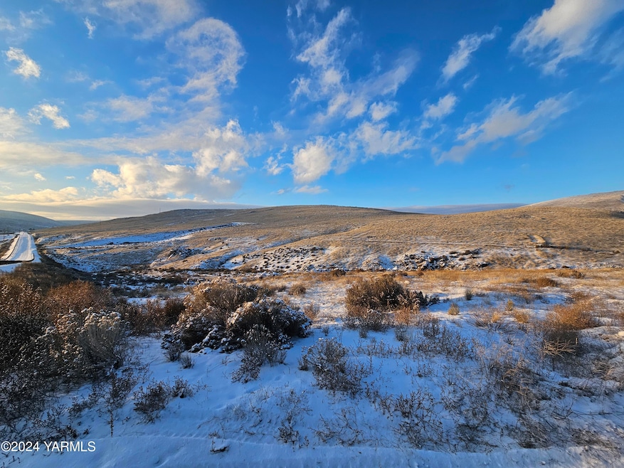 3040 Nightingale Rd, Wapato, WA 98951 - photo 1