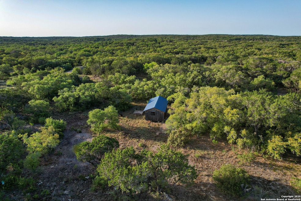 TBD Pr 233, Hondo, TX 78861 - photo 1