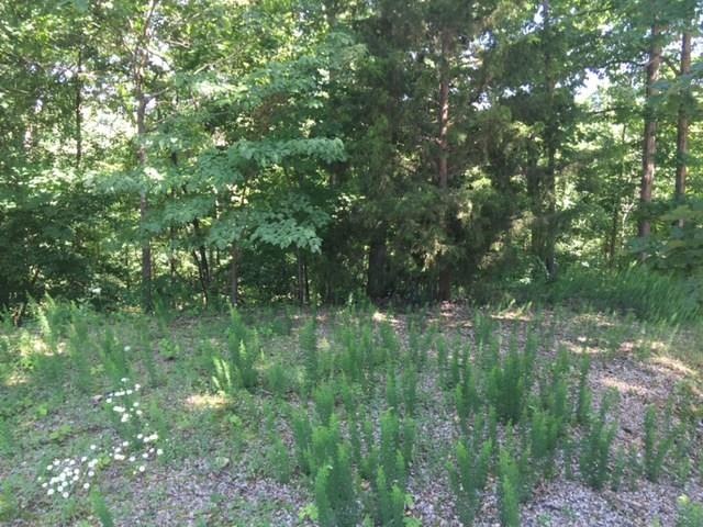 Lot 22 Box Cir, Bella Vista, AR 72714 - photo 1