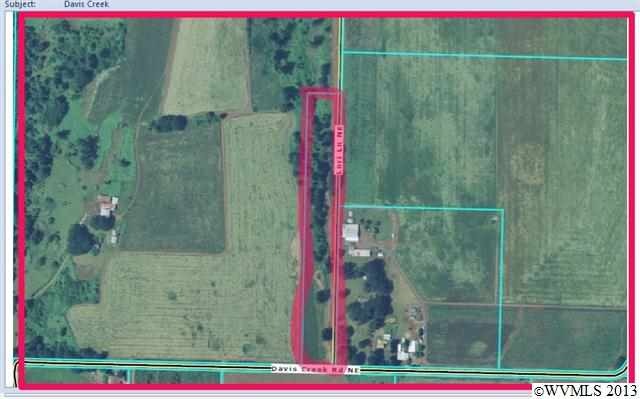 Next to 3997 Davis Creek Rd NE, Silverton, OR 97381 - photo 1
