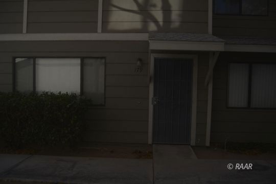 View from the Driveway