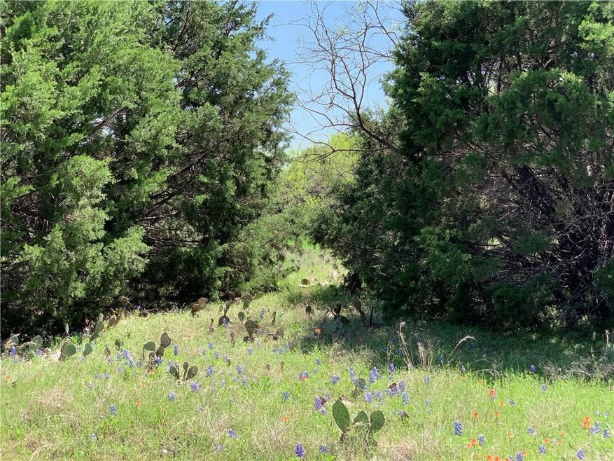 16074 Faircrest Dr, Whitney, TX 76692 - photo 1