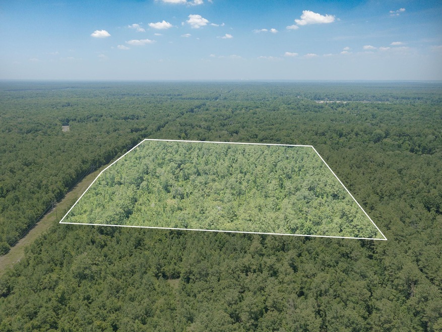 xx Acorn Dr, Crawfordville, FL 32327 - photo 1