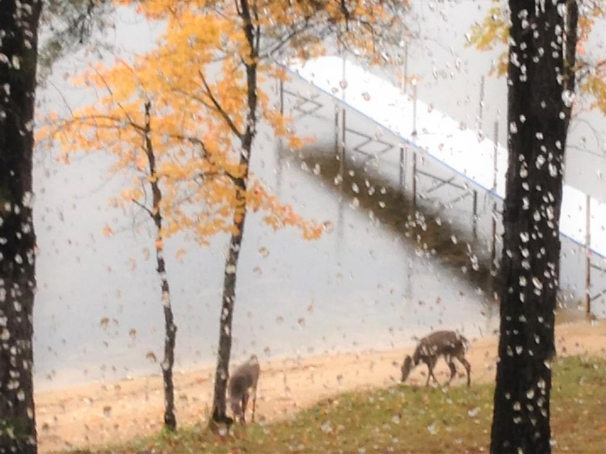 167 W Bay Rd, Freedom, NH 03836 - photo 1