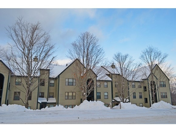 22 Harrison Ln unit L-102, Ludlow, VT 05149 - photo 1