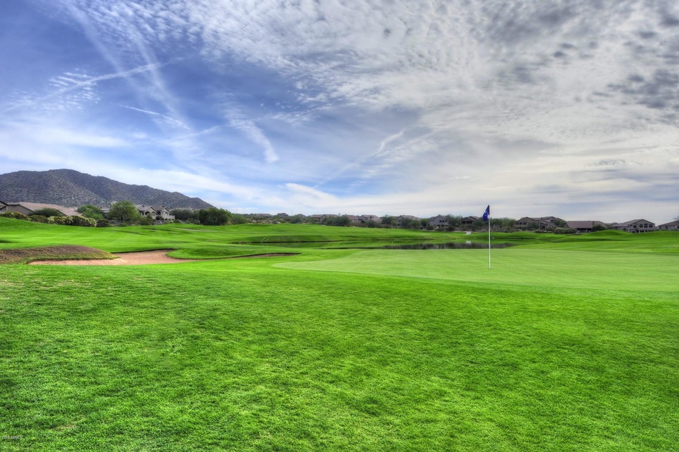 006_Championship_Golf