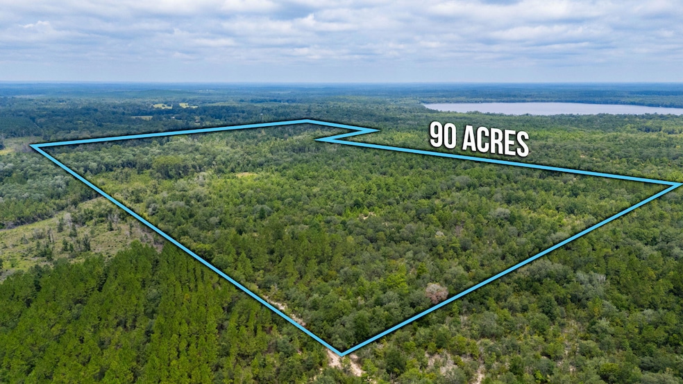 90 Acres Union Hill Rd, Vernon, FL 32462 - photo 1