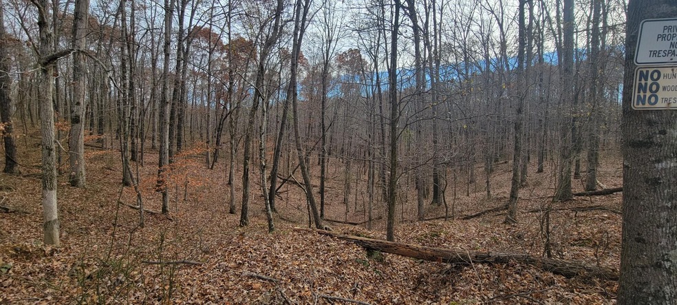 1081 Edenway Rd, Dover, TN 37058 - photo 1