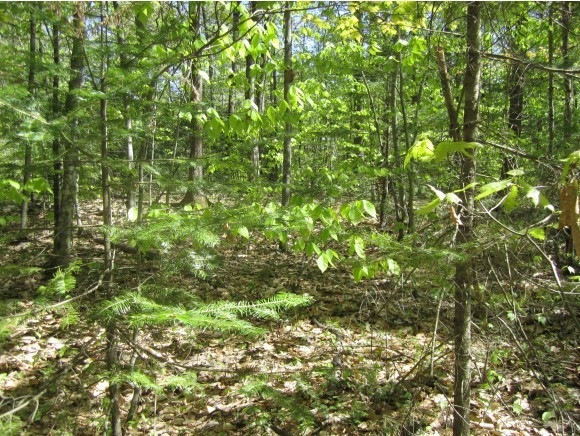 2 Loon Lake Rd, Freedom, NH 03836 - photo 1