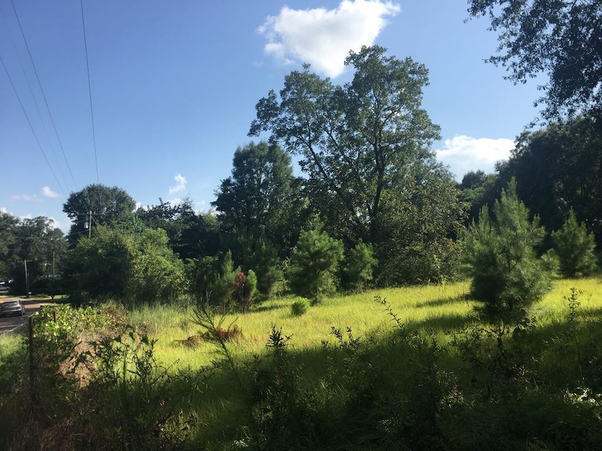 0 U S Highway 51, McComb, MS 39648 - photo 1