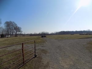 DSCN0516
