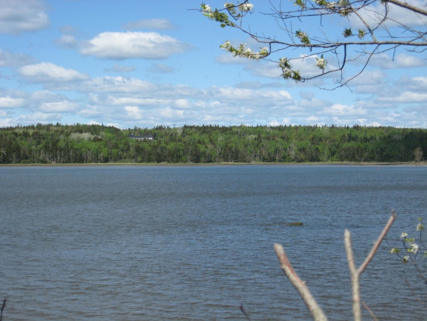 Lot 15 E Side Rd, Addison, ME 04606 - photo 1