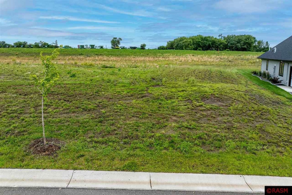 2022 Saba Blvd, Mankato, MN 56001 - photo 1