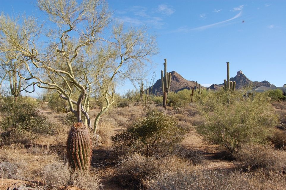 View To Pinnacle Peak