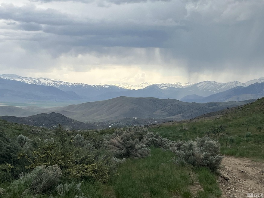 0 None unit 230005265, Gardnerville, NV 89440 - photo 1