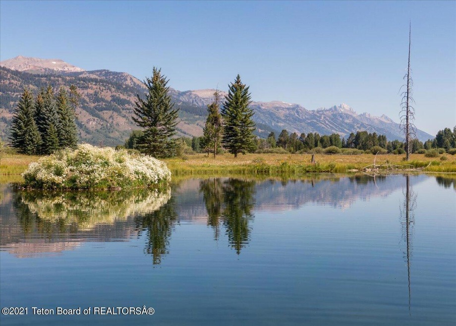 Pond and Teton Vieew