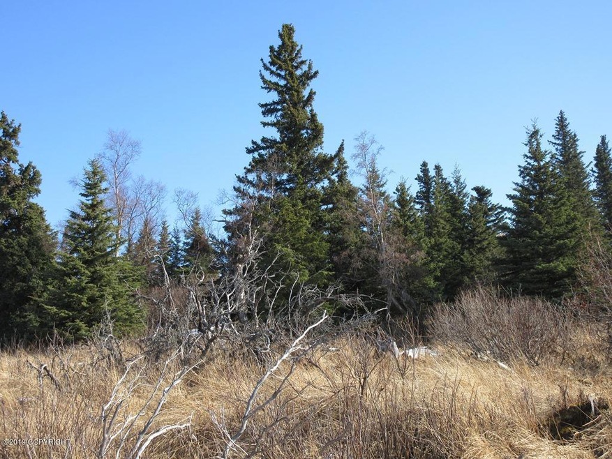 L2 Ashland Dr, Anchorage, AK 99516 - photo 1