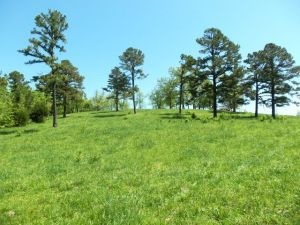 115 acres
