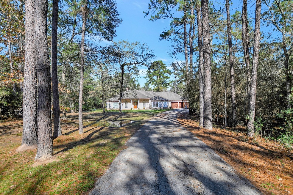 24102 Baneberry Rd, Magnolia, TX 77355 - photo 1