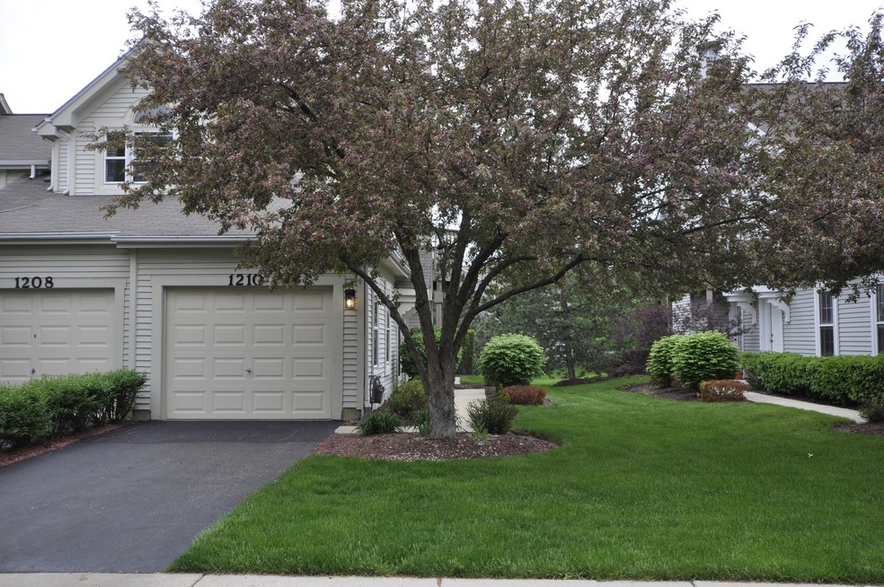 1210 Rhodes Ln unit 2406, Naperville, IL 60540 - photo 1