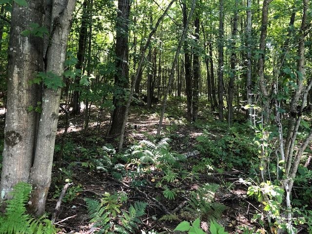 350 Mountain View Rd, Richmond, VT 05477 - photo 1