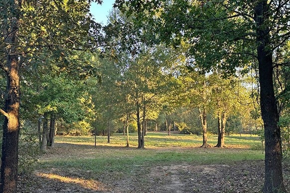 00 County Road 4885, Winnsboro, TX 75494 - photo 1