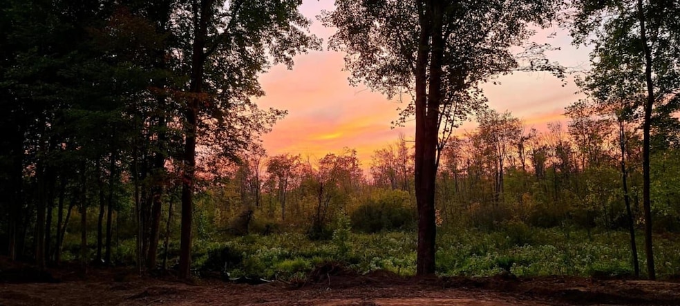 59064 Savage Rd, Vandalia, MI 49095 - photo 1