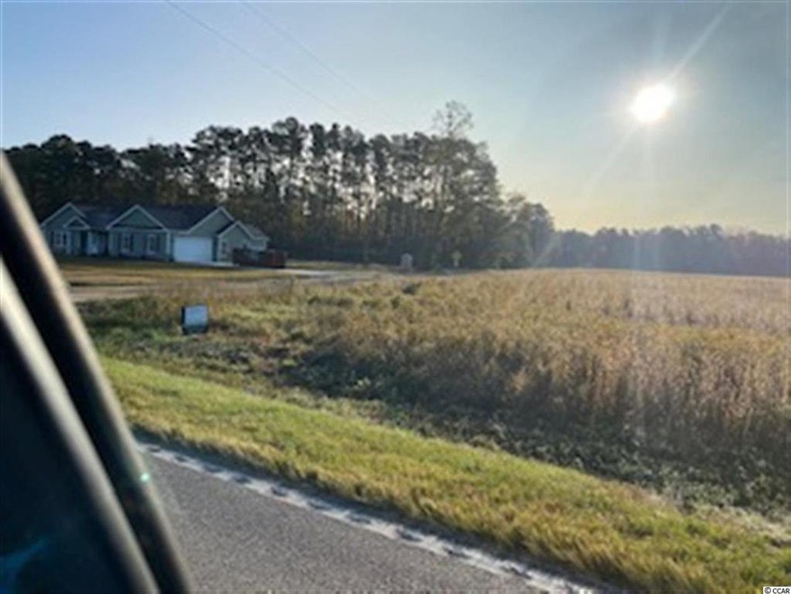 TBD Highway 66 unit Lot C, Conway, SC 29526 - photo 1