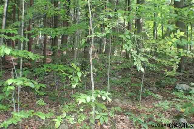 0 Cameron Rd unit 201611870, Day, NY 12835 - photo 1