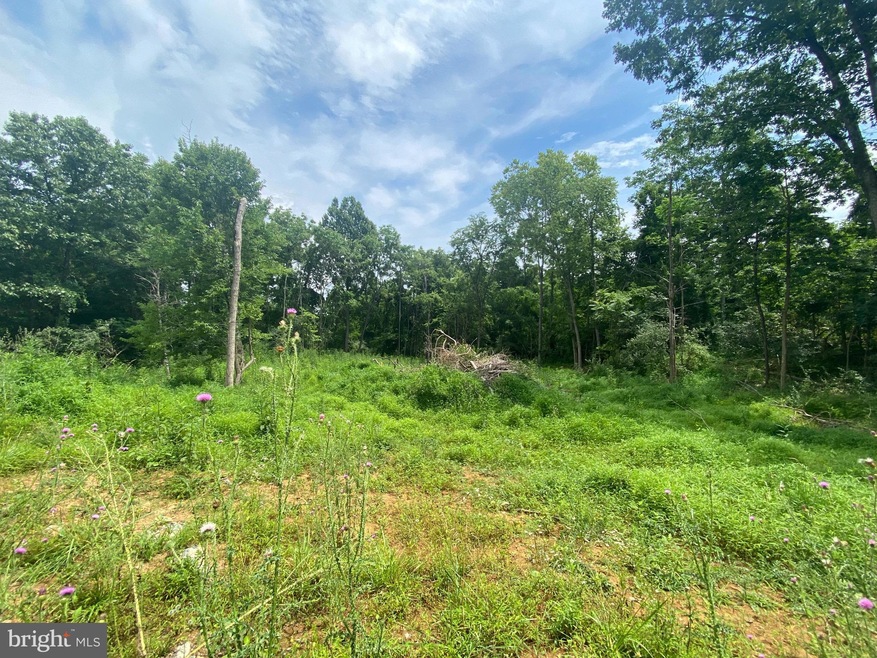 0 Goldmiller unit WVBE2011534, Bunker Hill, WV 25413 - photo 1