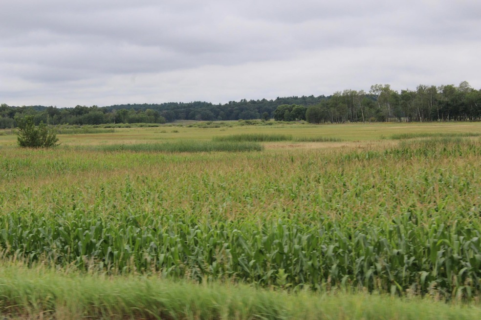 TBD 310th St, Little Elk Township, MN 56438 - photo 1