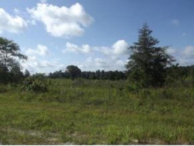 0 County Road 727, Nacogdoches, TX 75964 - photo 1